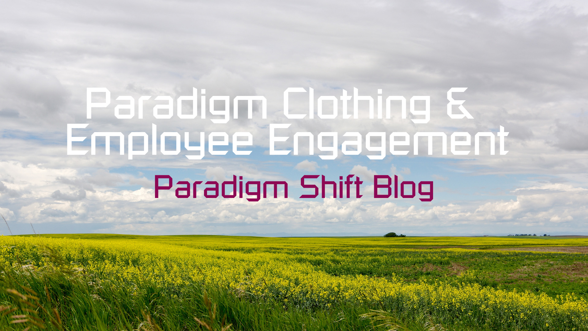 The Power of Brand in Employee Engagement