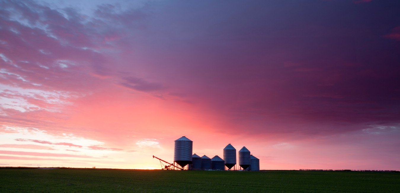 Sunset Silos Farmyard